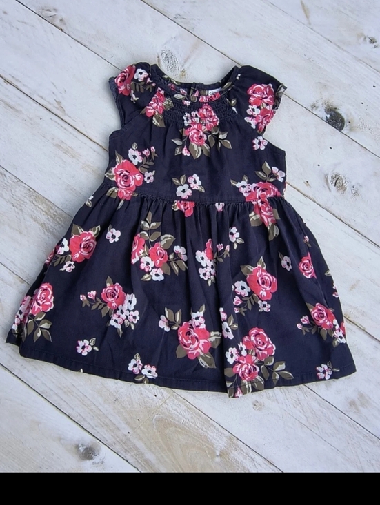 Carter's Other - Carter's Baby Girl Floral Sleeveless Smocked Dress Blue Pink Size 18 M